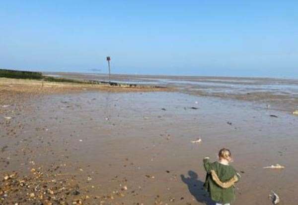 Dozens of dead dogfish have been found on Herne Bay beach. Picture: Peter Langdown