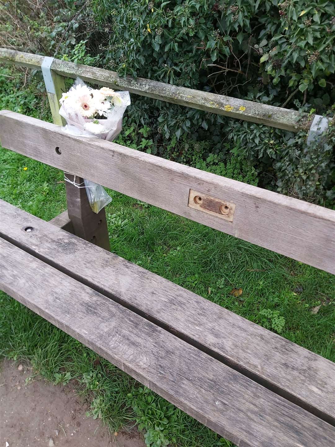 Memorial plaques have been removed from benches at Riverside Country Park in Rainham