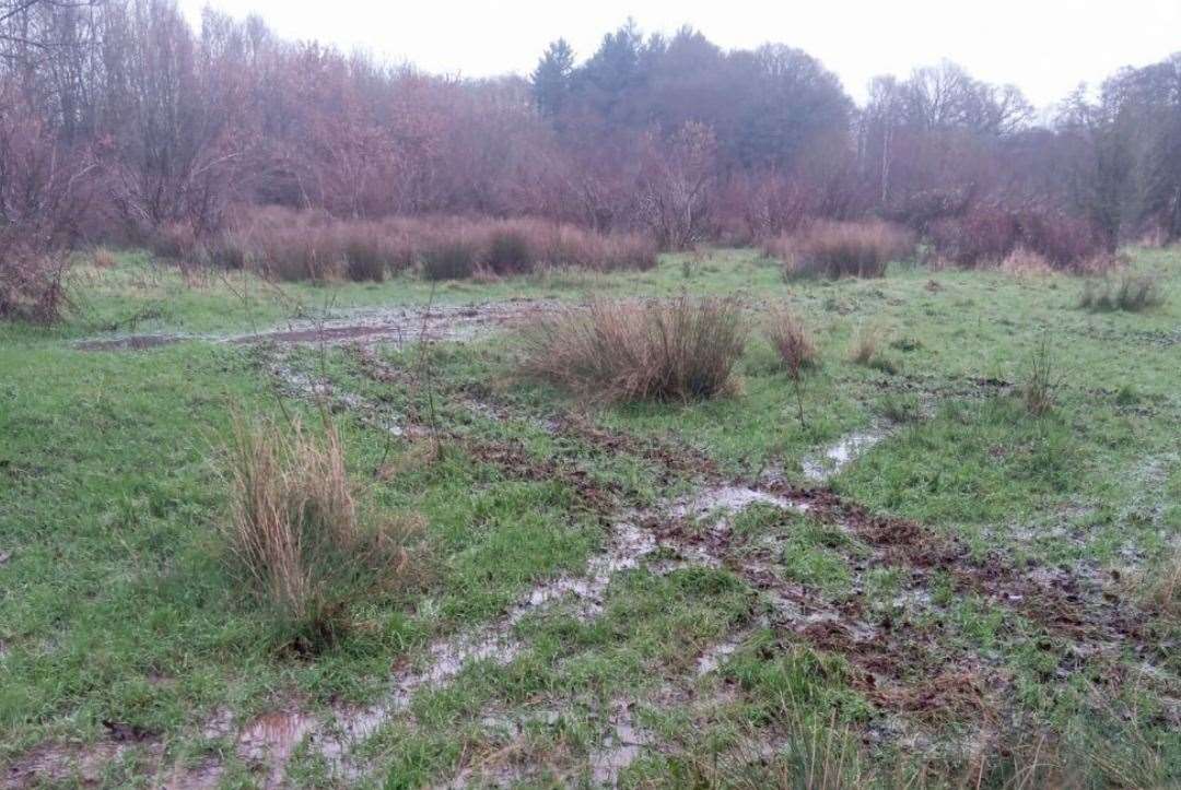 The incident has caused damage to vital habitats at Hothfield Nature Reserve near Ashford. Picture: Kent Wildlife Trust