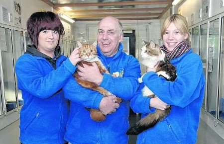 Stacey Faram and adoption centre manager Adrian Ferne with Tank, and Jade Husband with Jerry