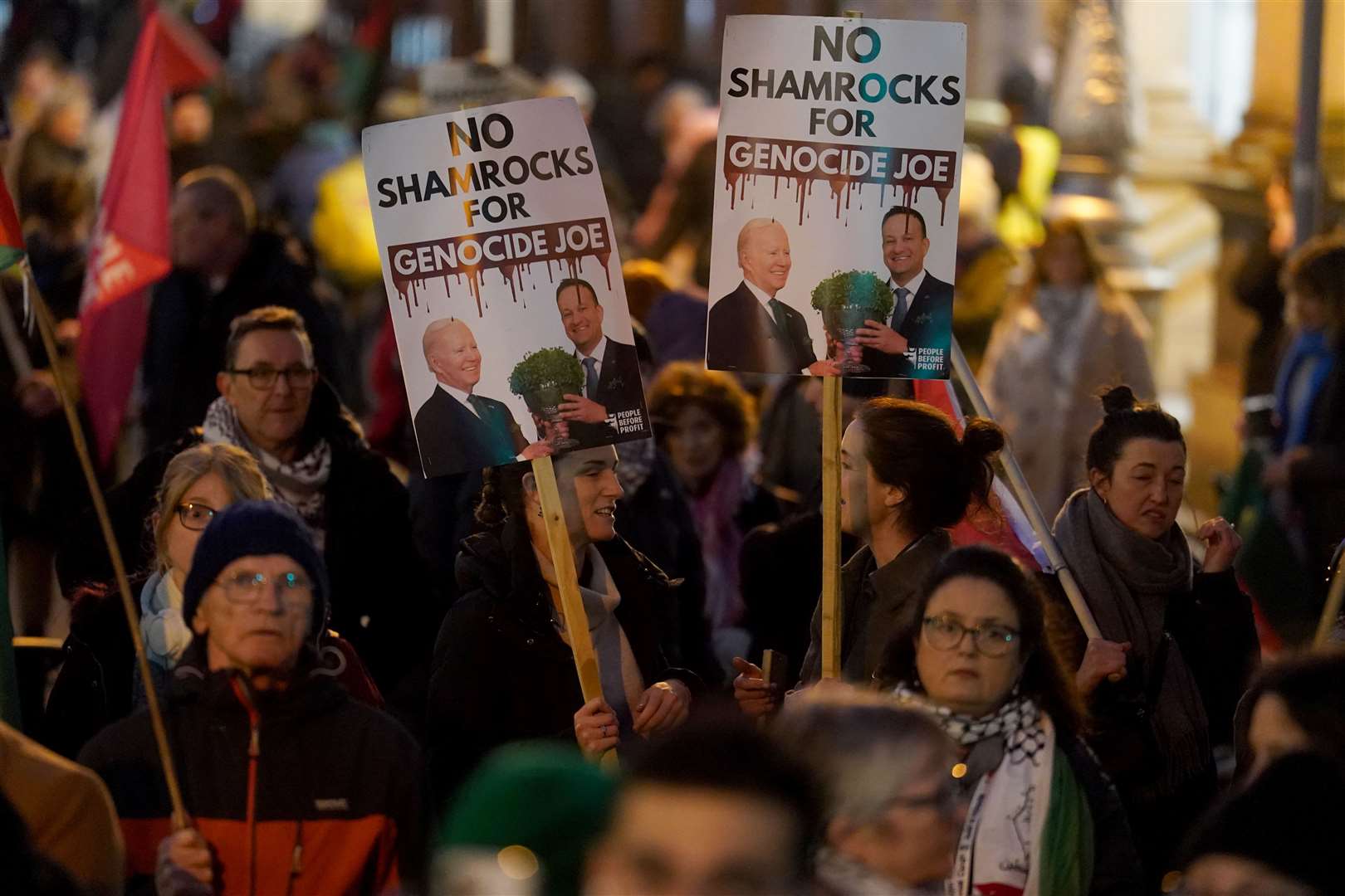 Pro-Palestinian protesters gather outside Leinster House (Brian Lawless/PA)