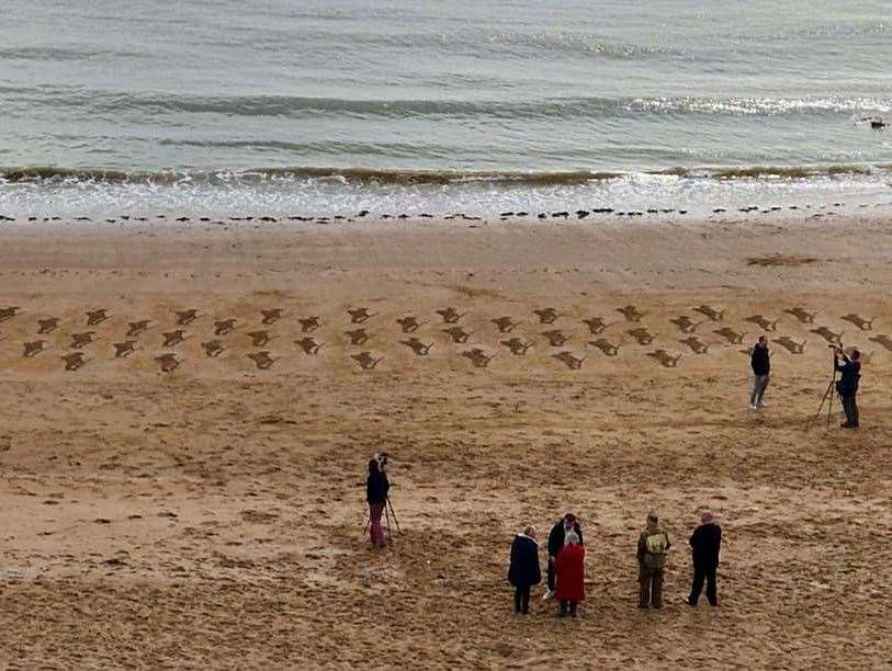 Roughly 50 soldiers have been marked in the sand at Stone Bay. Picture: Dean Spinks