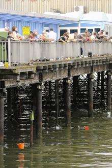 Crab catching competition, Herne Bay Festival 2010