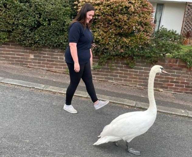 Tiffany was also on hand to help this confused swan