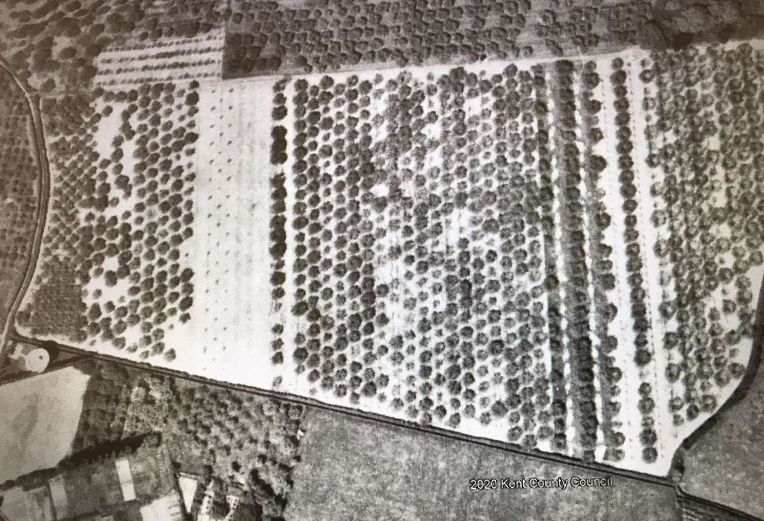 The pea field site as seen in 1960 before houses were built on adjacent land