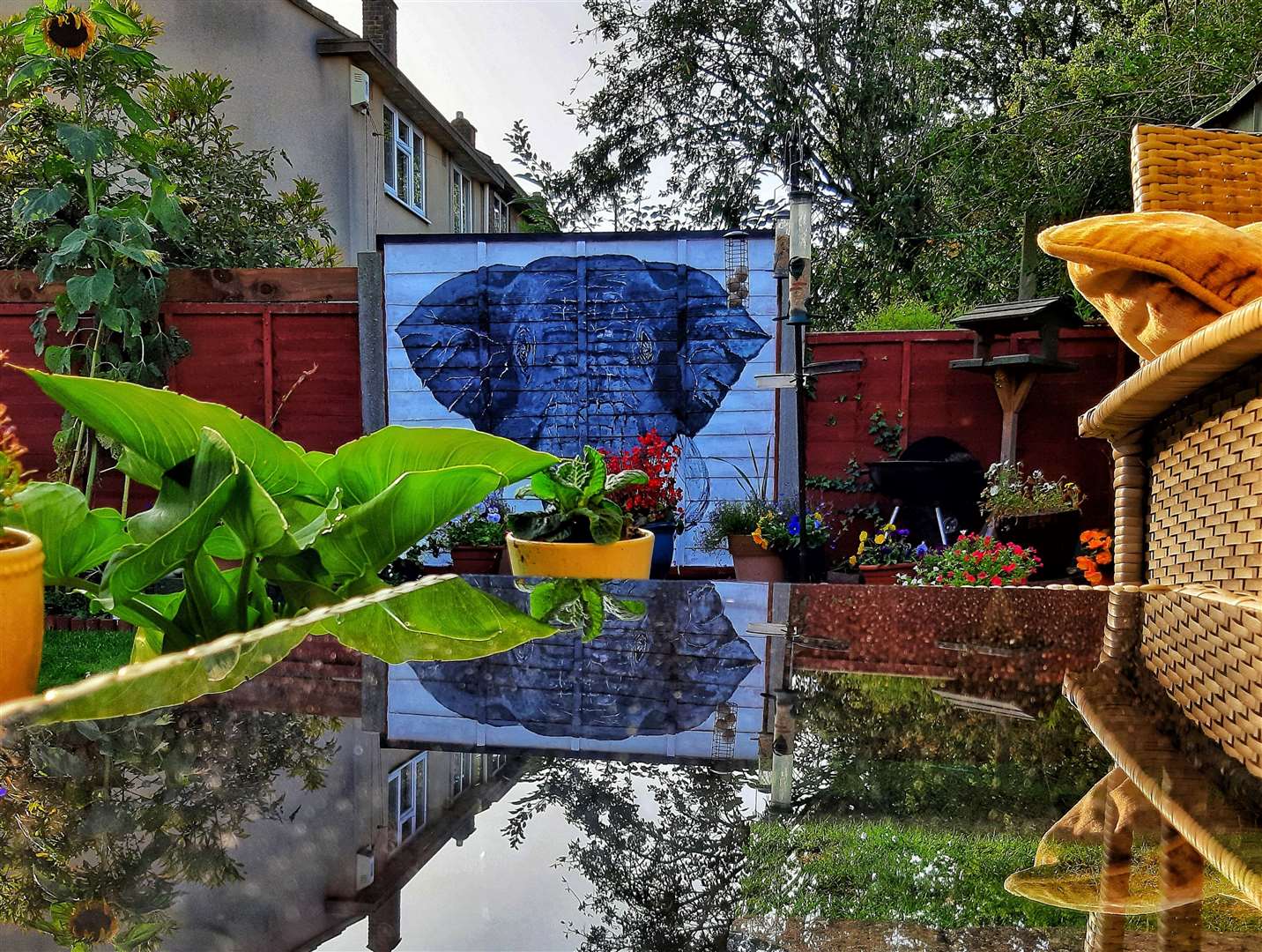 The painted fence panel in Ron Williams' Walderslade garden