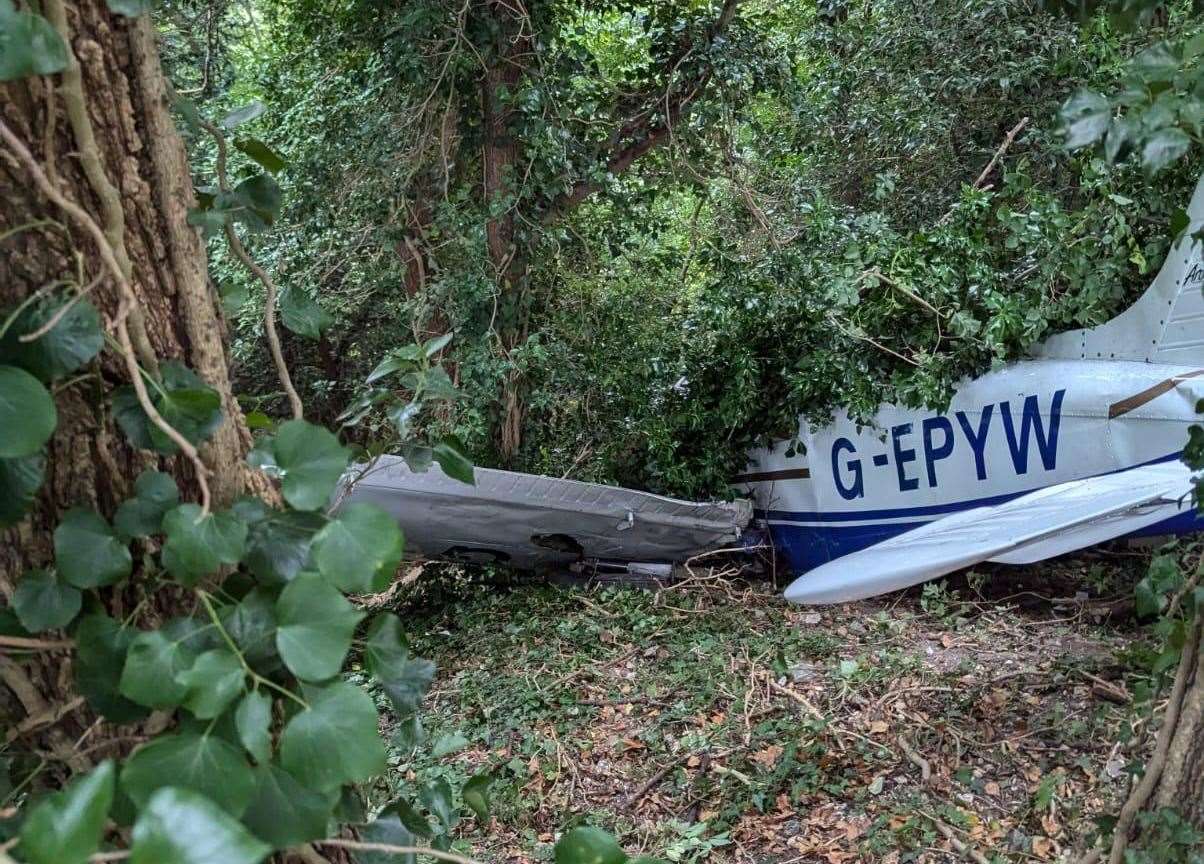 The pilot was taken to hospital after crash landing in a wooded area off Rochester Road