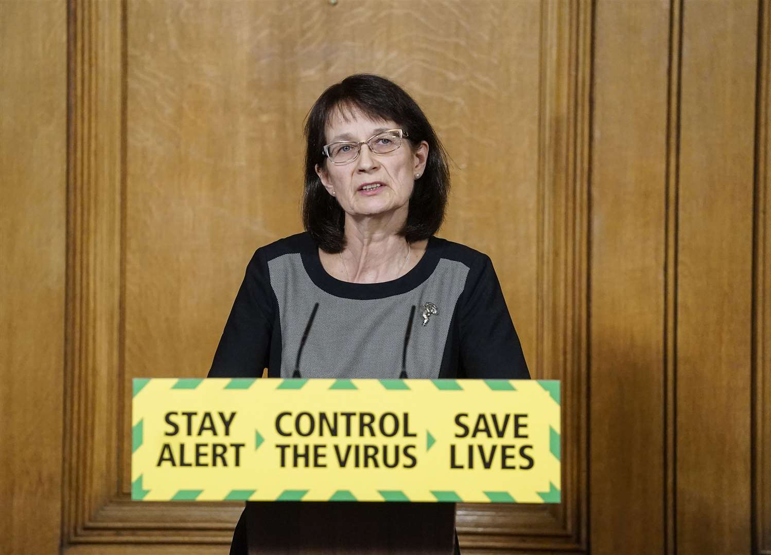 Deputy chief medical officer Jenny Harries (Andrew Parsons/10 Downing Street/Crown Copyright)