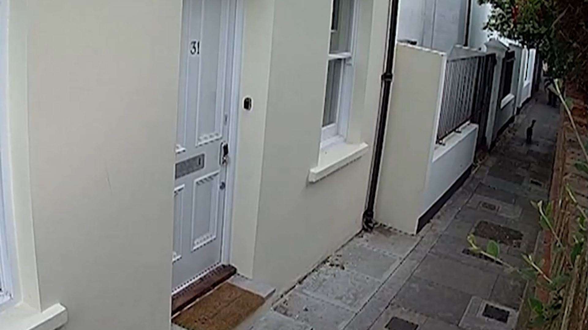 CCTV still of Steve Bouquet befriending a cat before going on to stab it (CPS/PA)