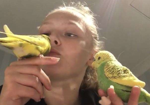 A budding zoo keeper, Lucy taught her budgie Kiwi to talk. Picture: Sophie Fagg