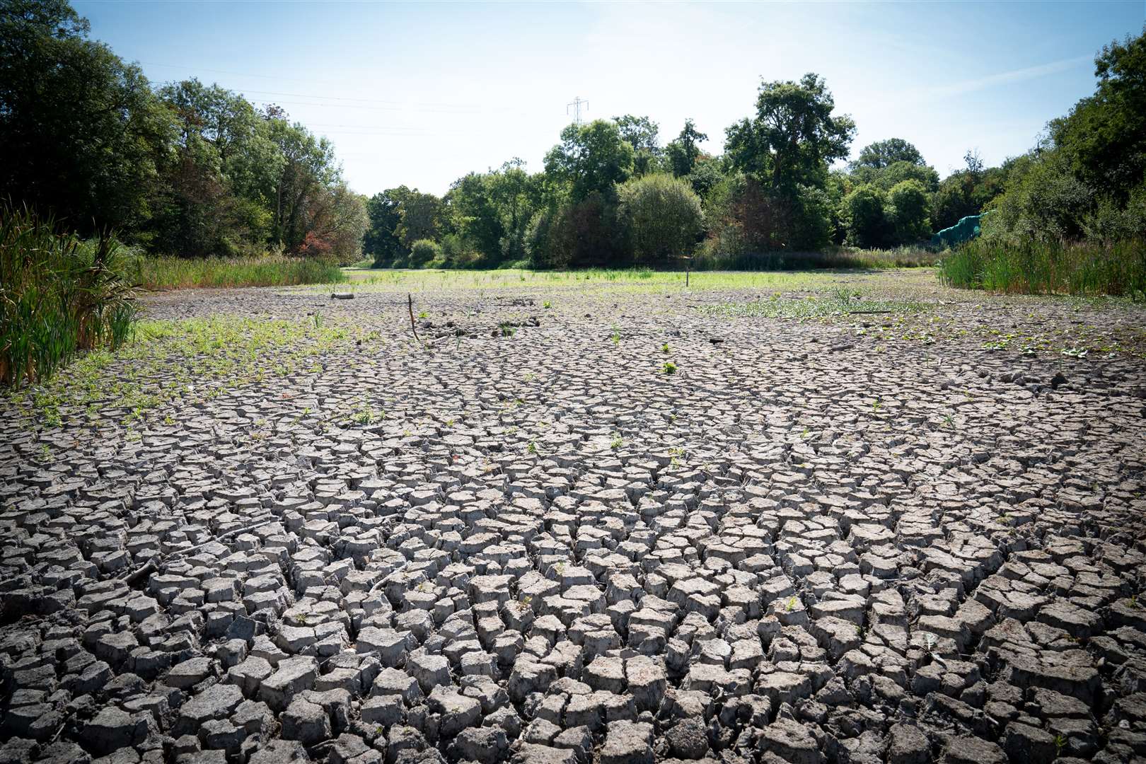 A dried-up lake in Wanstead Park, north-east London (Stefan Rousseau/PA)