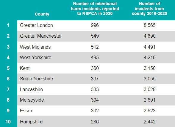 Kent was ranked in fifth place