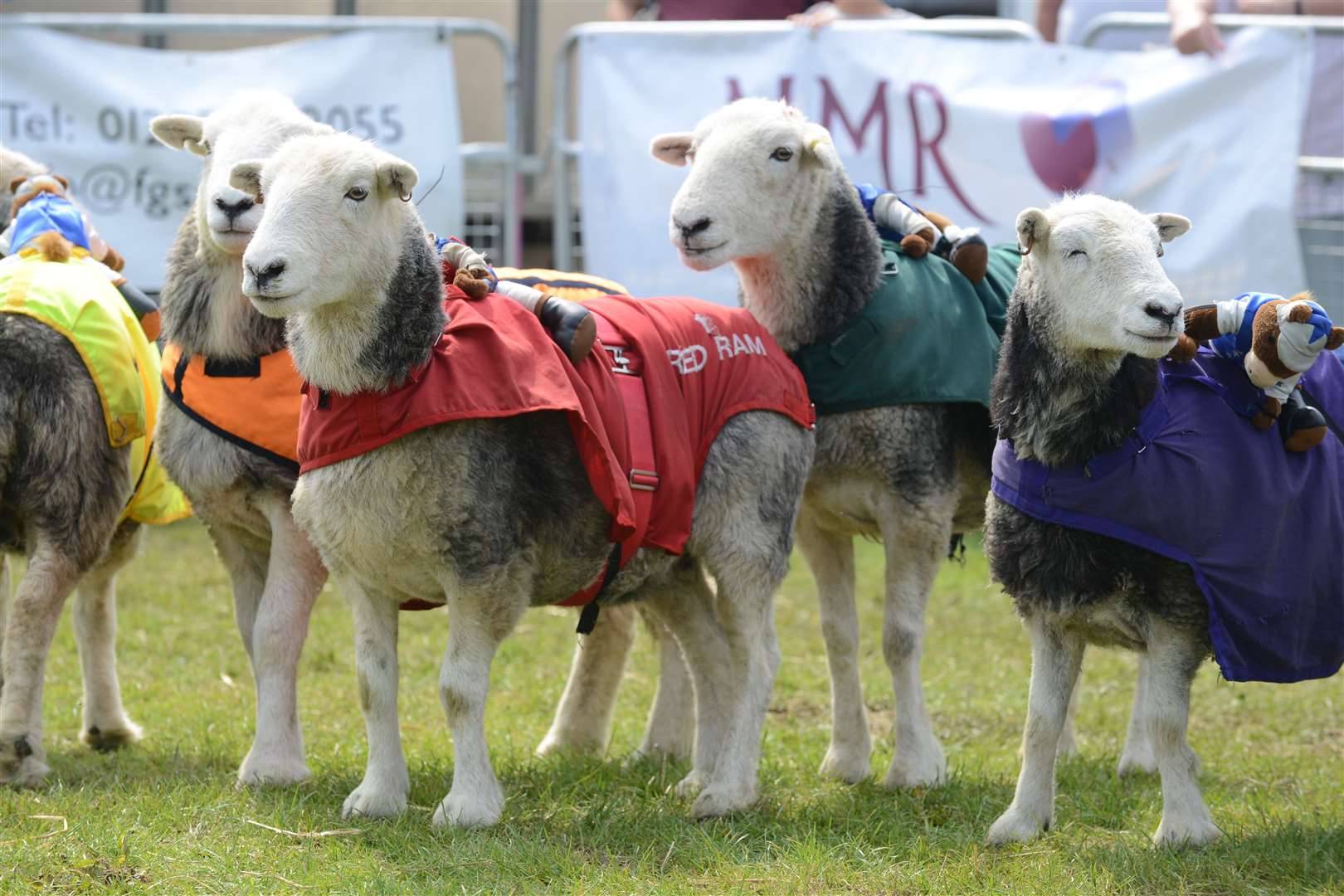 The Bob Hogg's Lamb National