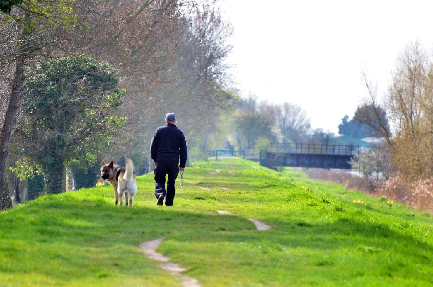 Dog walkers are advised to regularly change their walking routes
