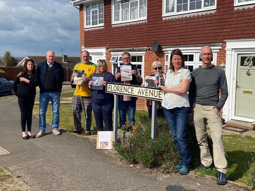 Residents of Florence Avenue and Shamrock Avenue - including Jayne Dawkins, fourth from left, and Barbara Binding, in sunglasses - fear their cats are being snatched