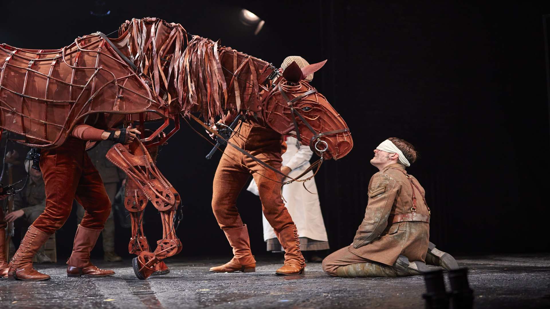 Joey the War Horse Picture: Birgit & Ralph Brinkhoff