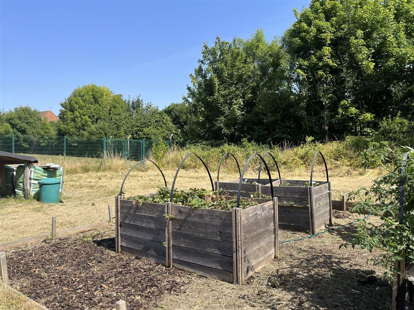 Repton Community Trust grow their own fruit, vegetables, salad and herbs for the community to help themselves to. The gardeners grew enough kale to feed 90 people one week for the trust's recipe box scheme which helps people cook low cost meals with fresh ingredients.