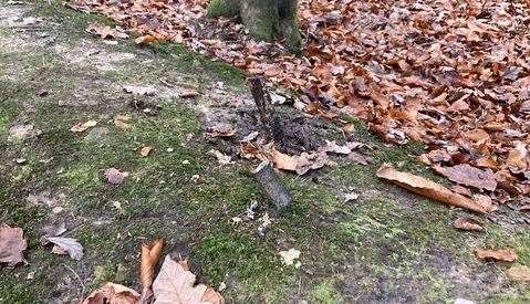 The sharp metal bars in Southborough Common. Picture: Ameet Bhakta