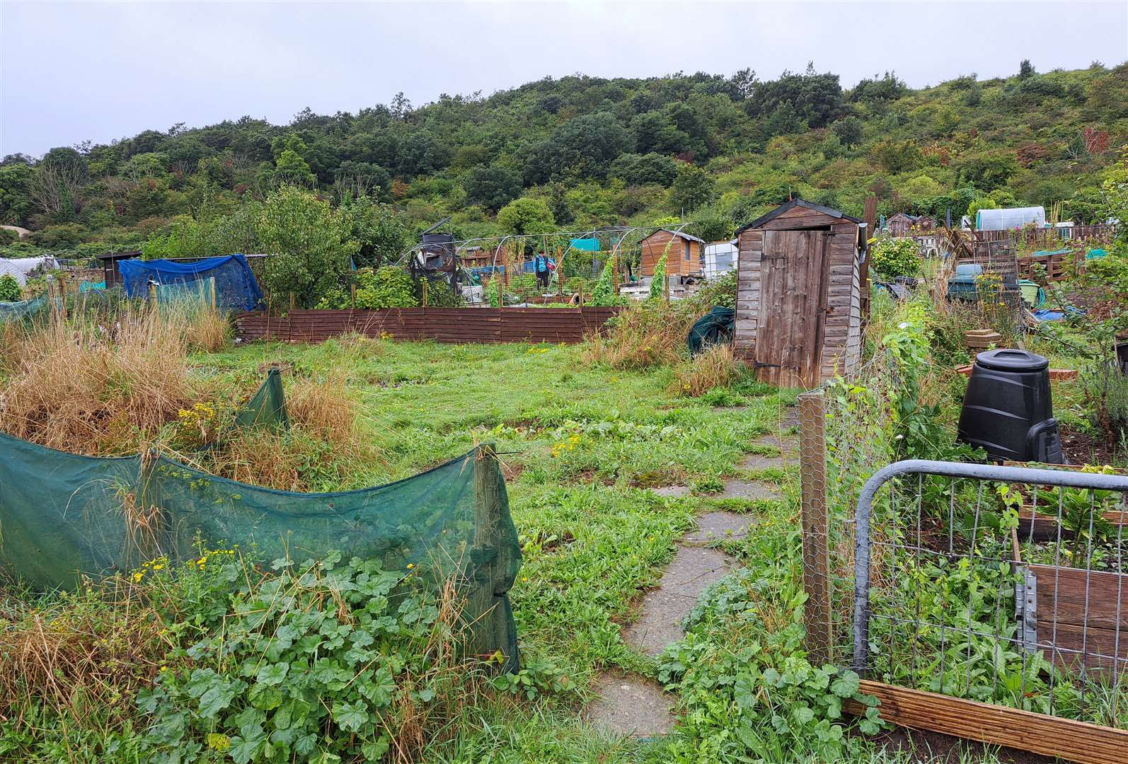 Maxton Allotments off Folkestone Road, Dover