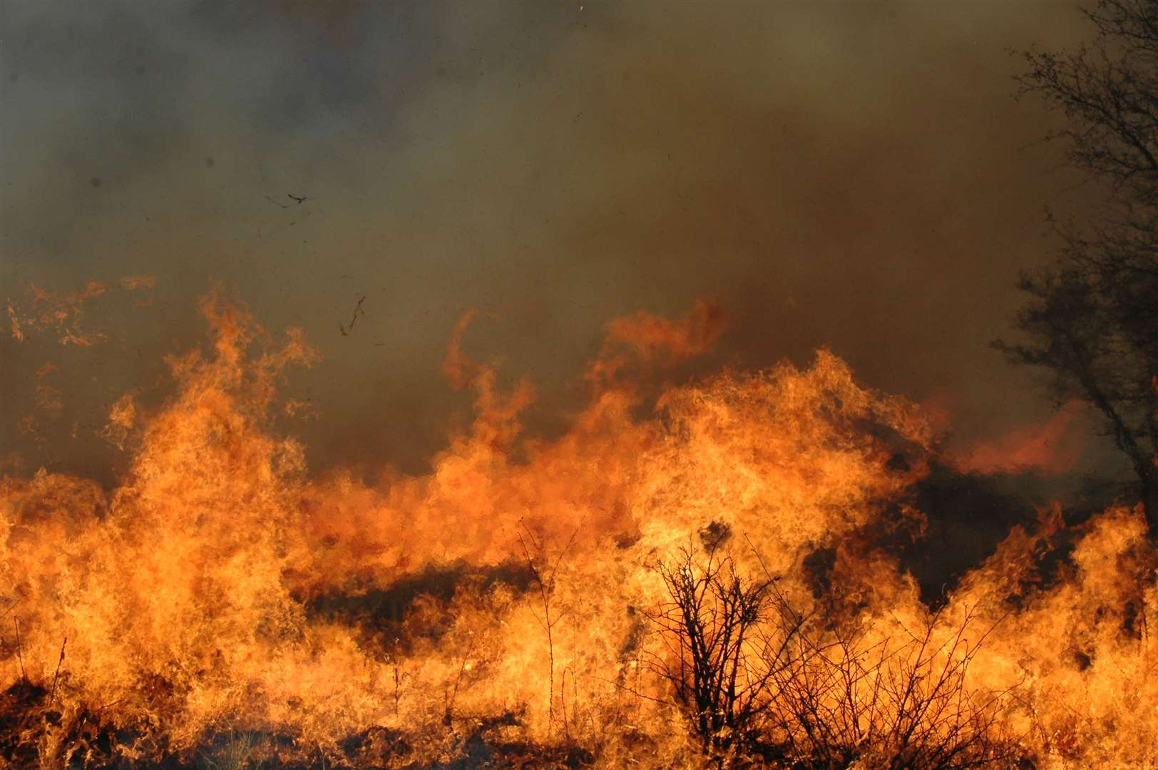 Forest fires are just one of the symptoms of increased global warming (Corli Coetsee/PA)