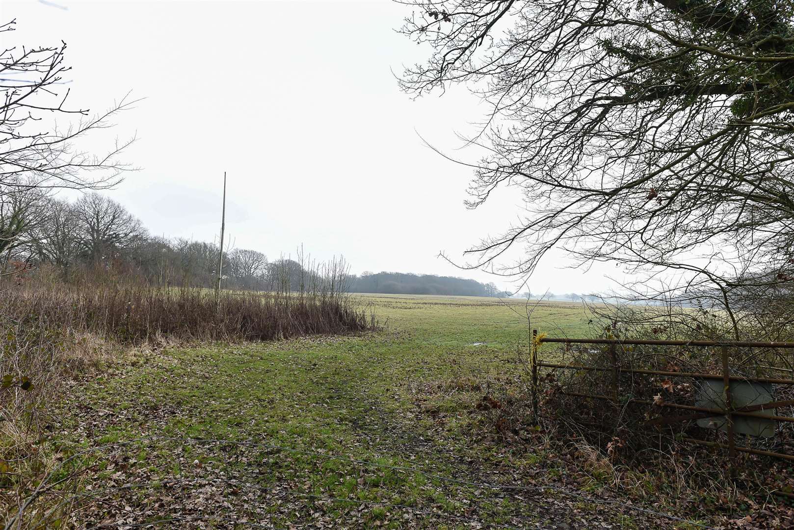 The field where the solar farm could be built