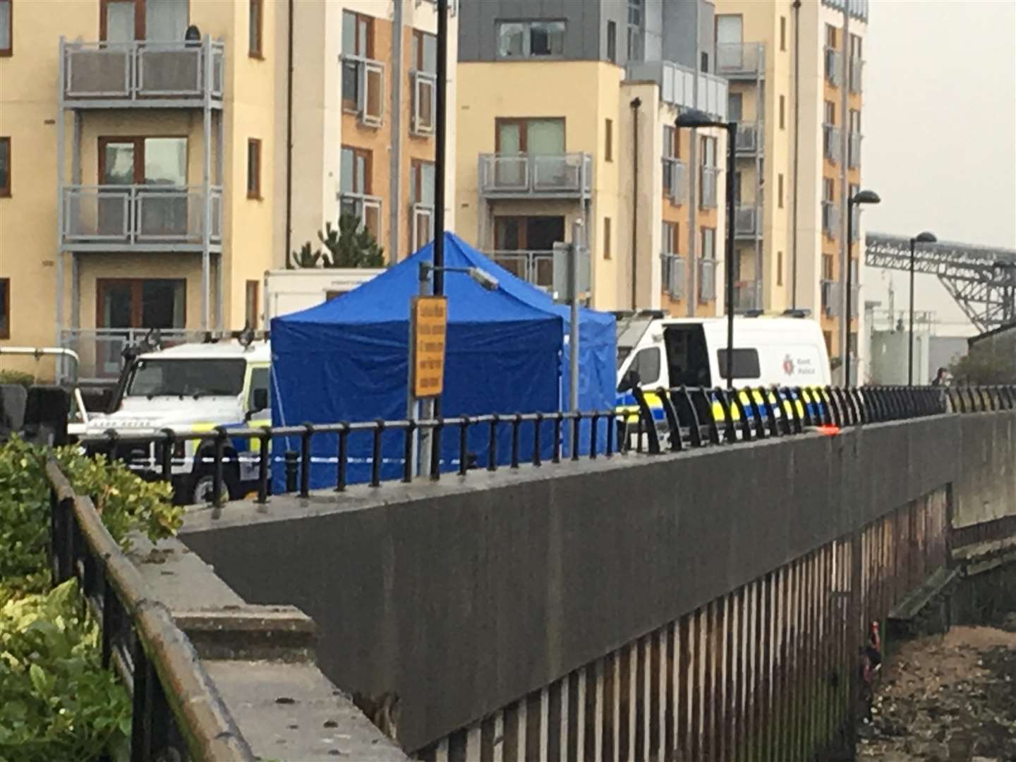 Police marine teams are searching the banks of the River Thames in a bid to find Sarah Wellgreen