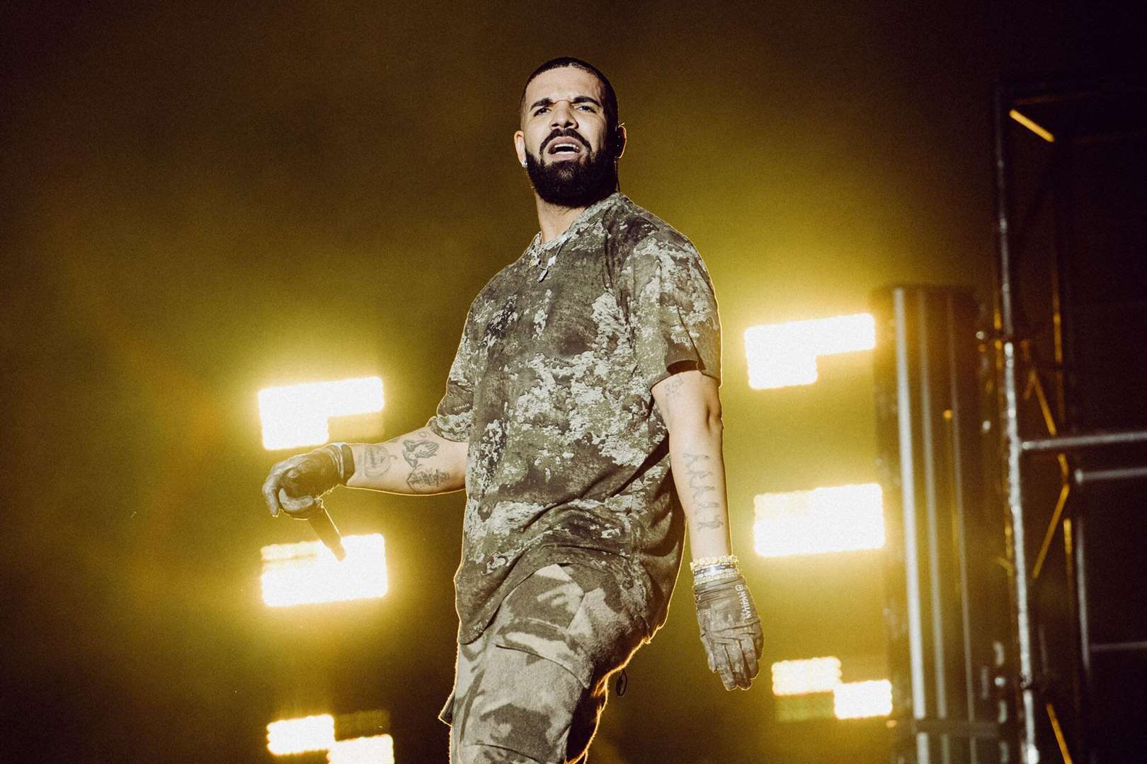Drake is another celebrity tiger (Jordan Curtis Hughes/LD Communications/PA)