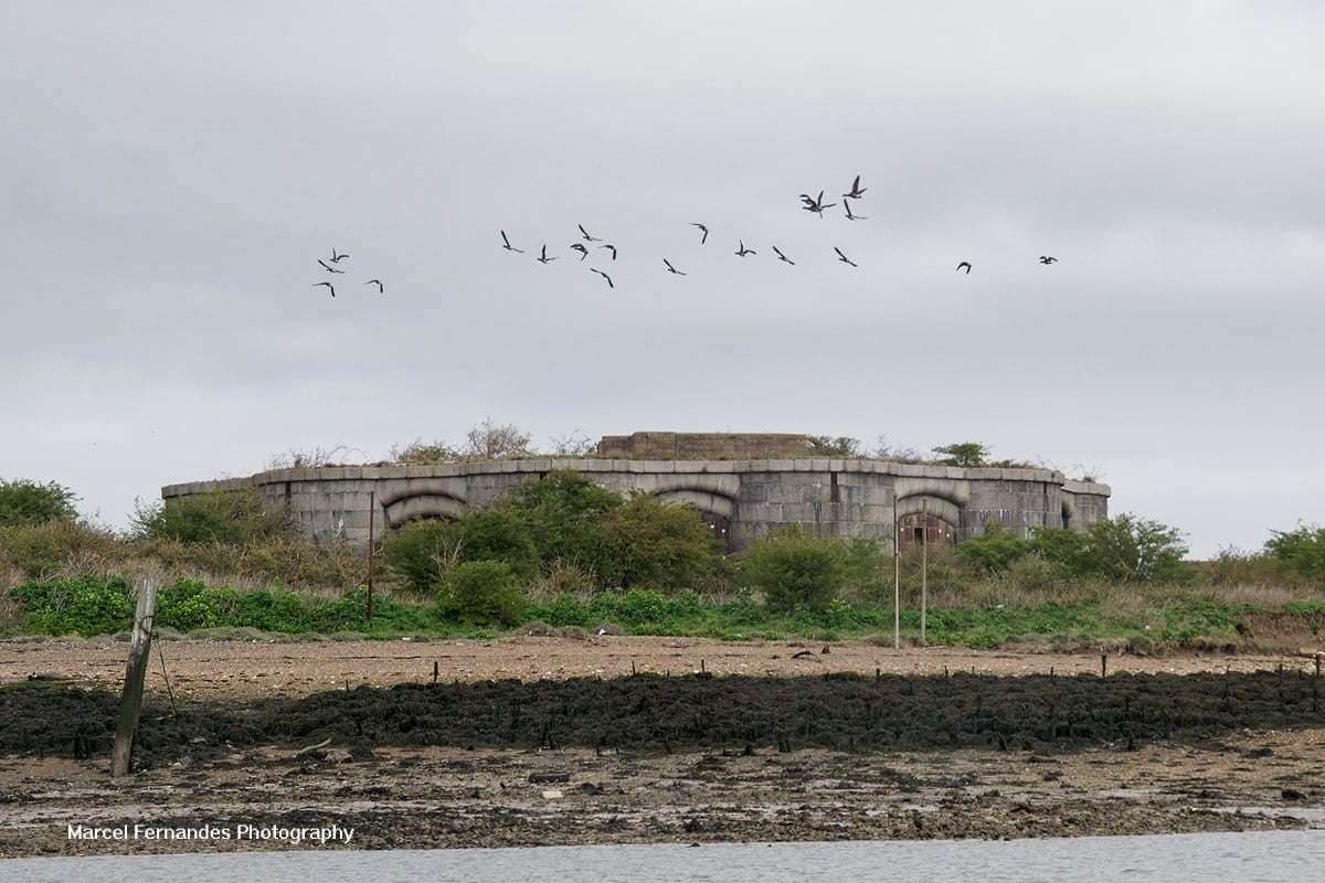 Hoo Fort with birds above it. Picture: Marcel Fernandes