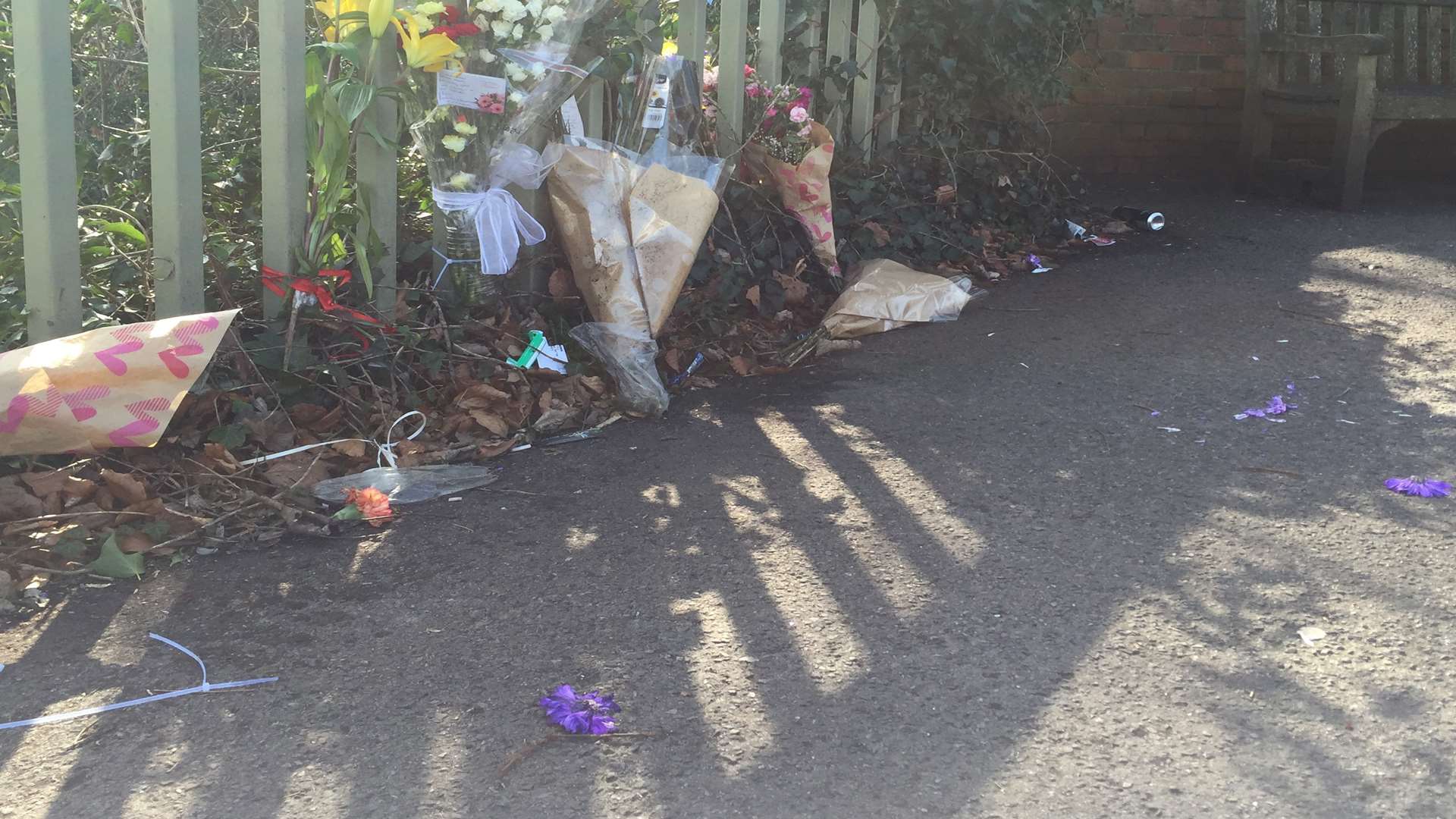 Flower heads appear to have been torn off