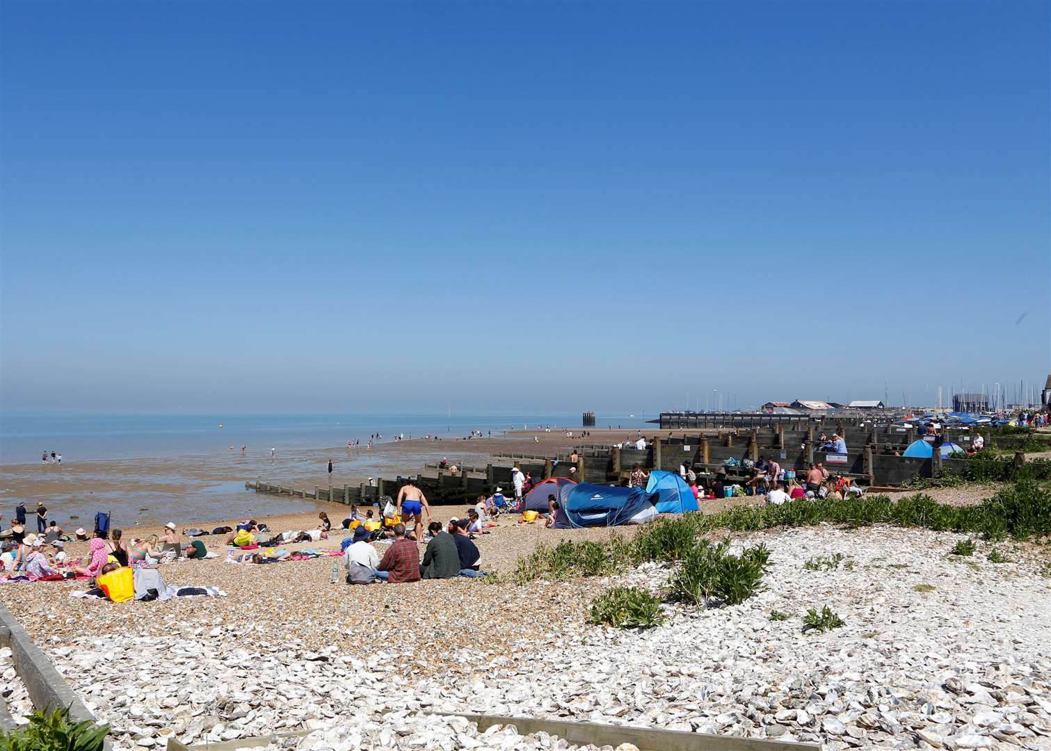 Dogs are allowed to be walked off the lead on Whitstable Beach. Picture: Andy Jones