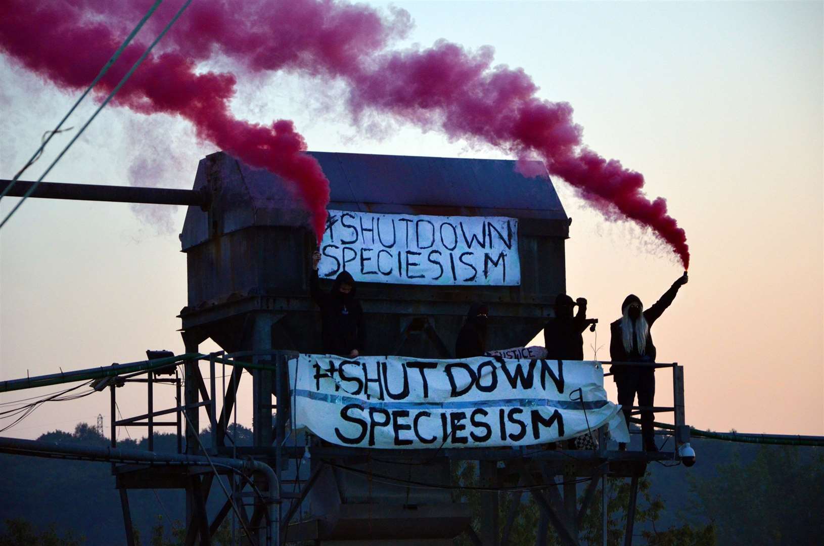 Activists at Forge Farm Meats in Southborough (15764956)