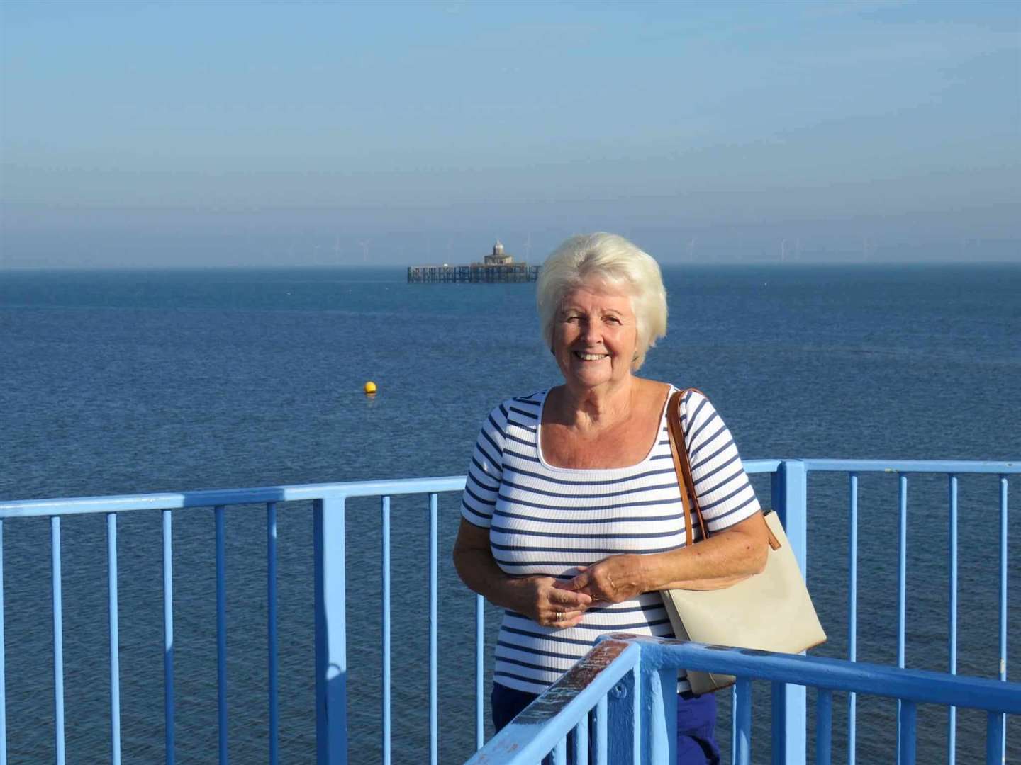 Janet Farbrace, 73, says that if she were able to she would remove the flower bed barriers in Central Parade, Herne Bay, herself