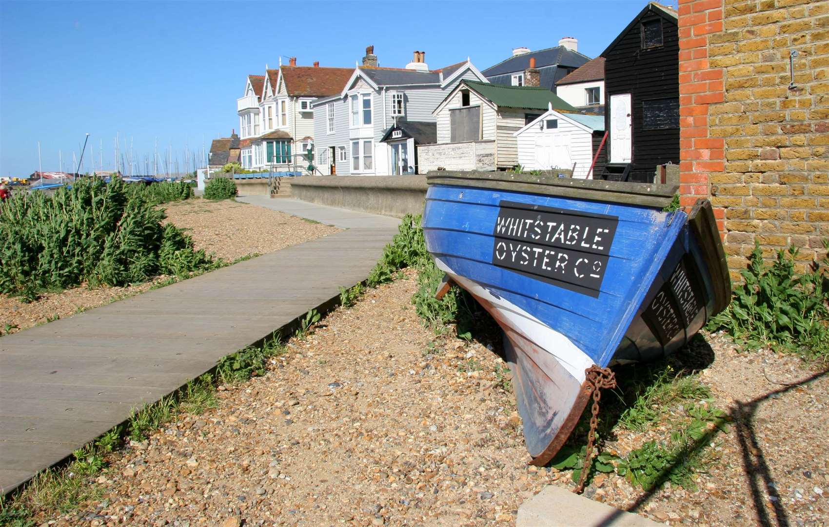 Whitstable Oyster Company says it is “delighted” about the new protections