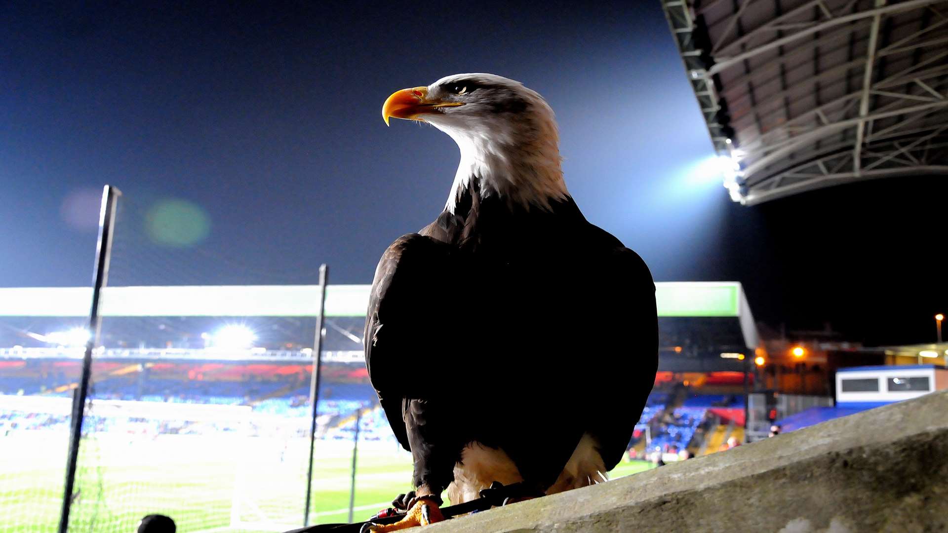 Kayla at Selhurst Park, home of Crystal Palace Football Club