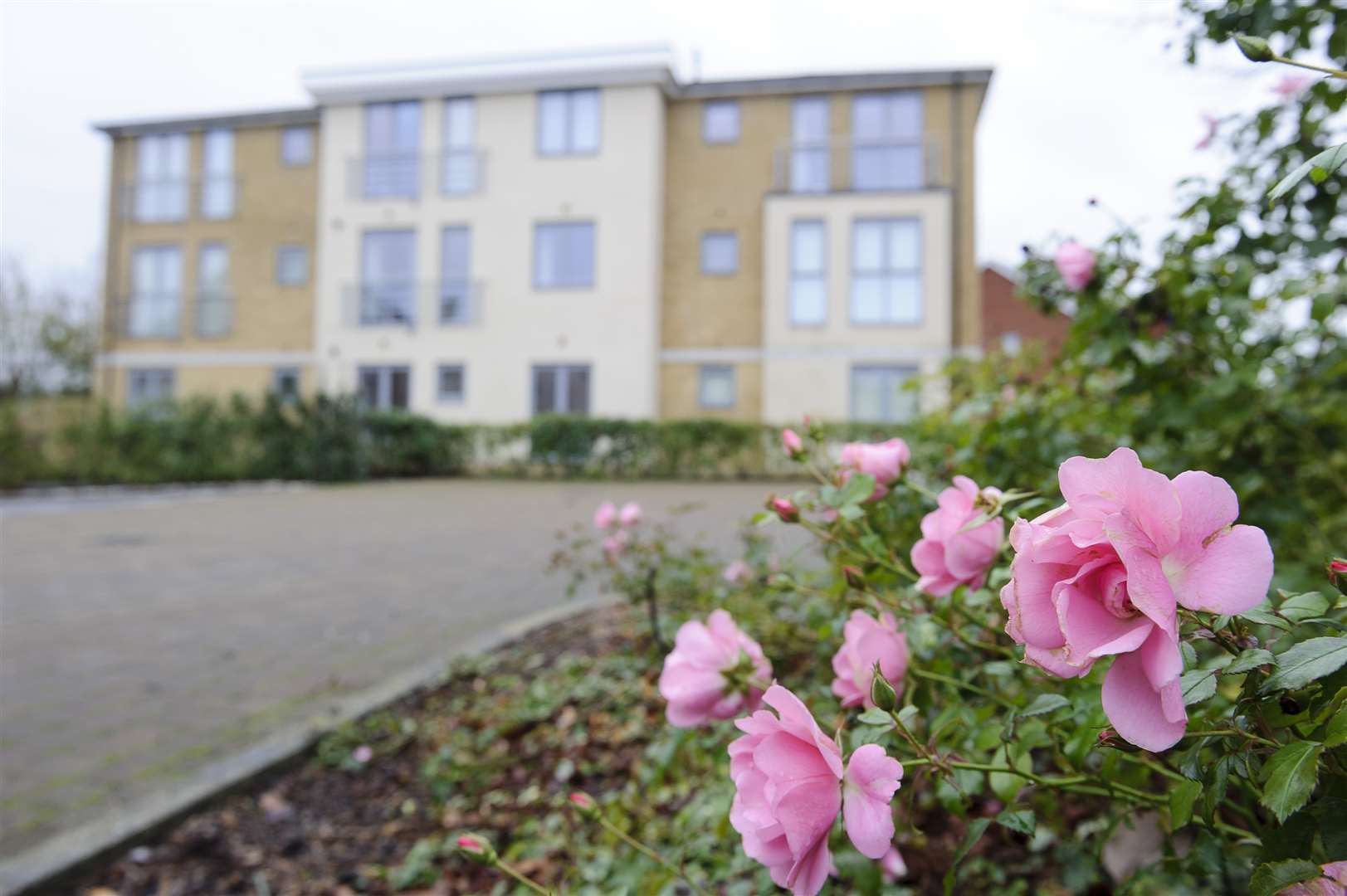 Views of the existing Eastgate development and site hoardings on new land at Springhead Park, Northfleet.