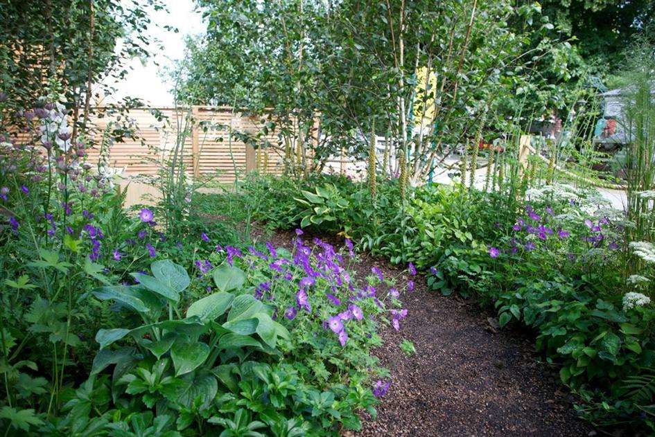 David's woodland garden at the Hampton Court show