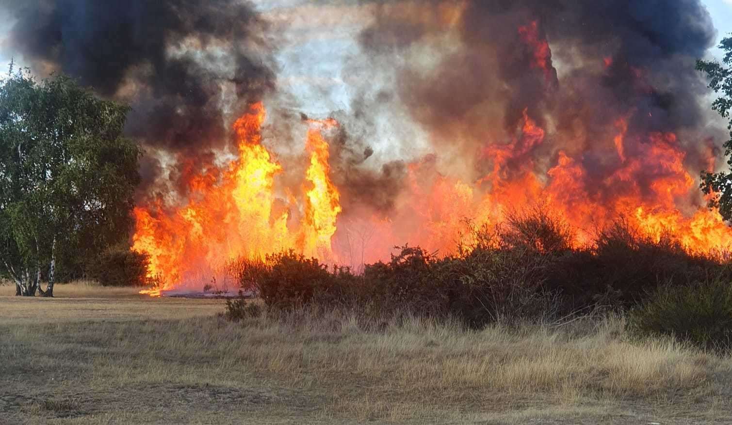 Police and the fire service believe a blaze in Dartford Heath, Dartford, was started deliberately. Picture: Gay Melrose