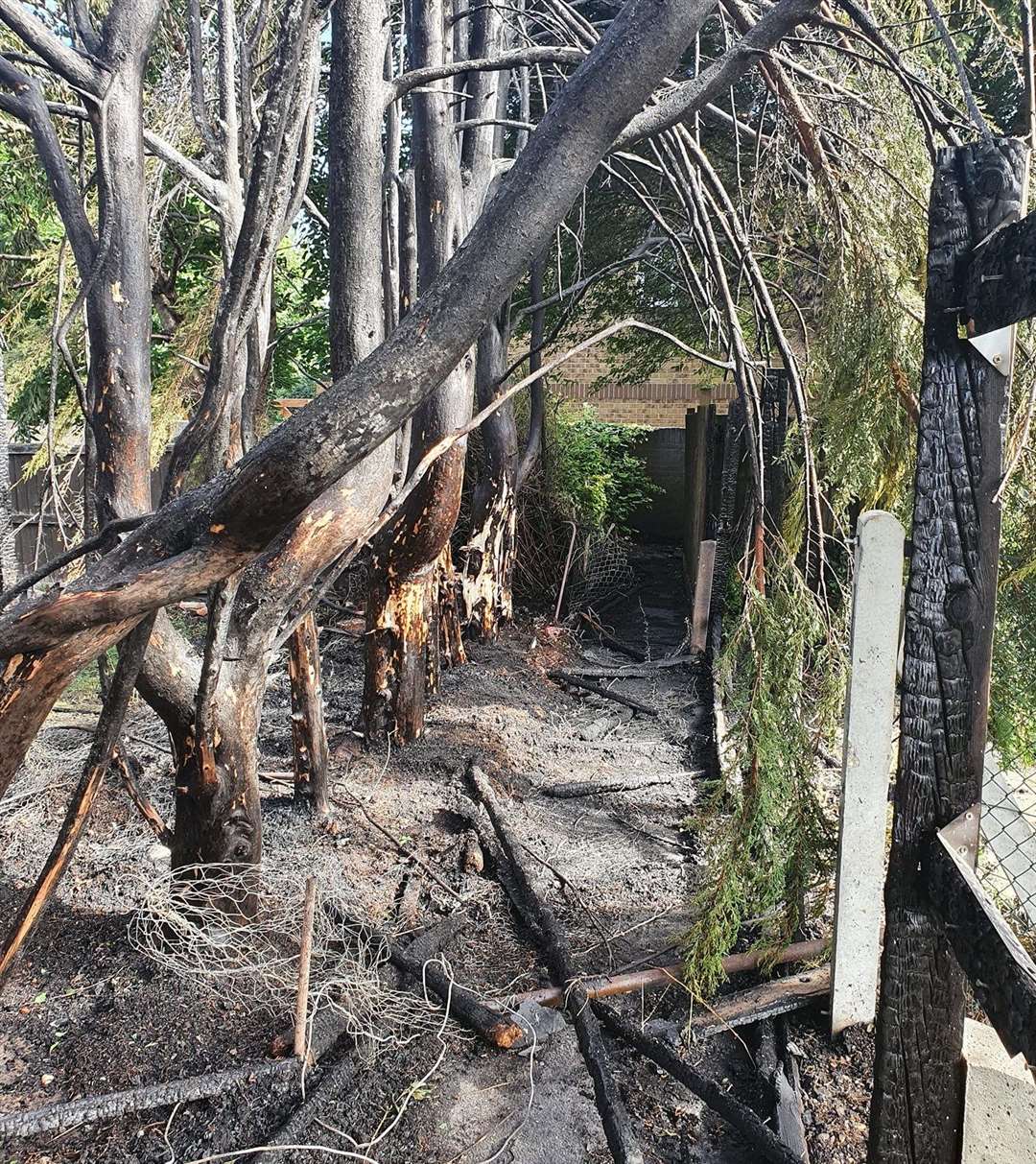 Trees and garden fences were destroyed in the blaze which is being treated as deliberate