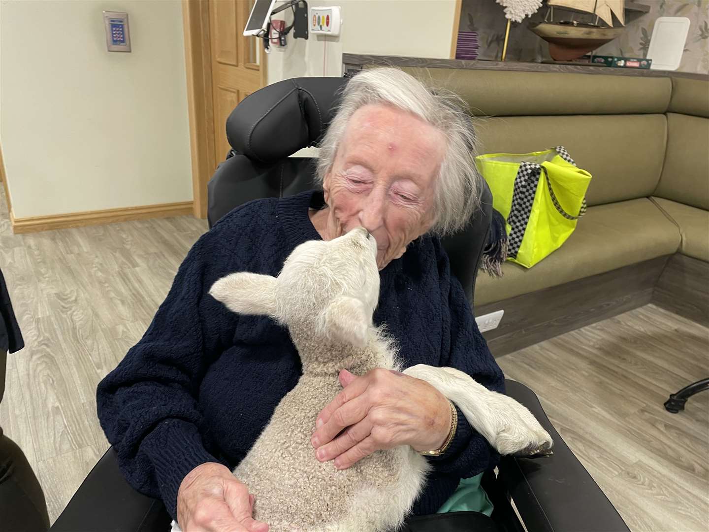 One resident said the lambs were 'absolutely gorgeous'. Picture: Harrier Lodge