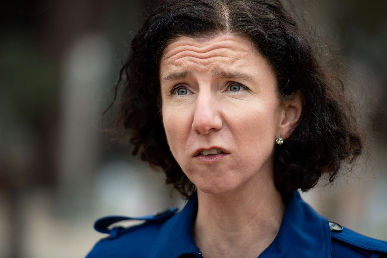 Labour chairwoman Anneliese Dodds (Jacob King’/PA)