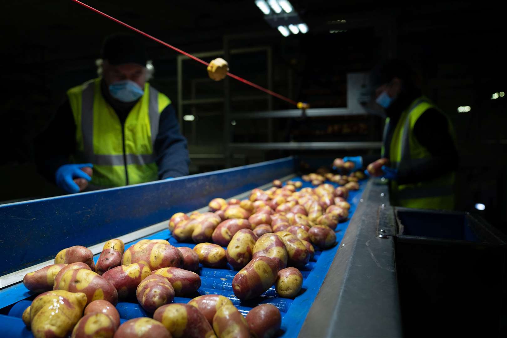 Nemo potatoes could save on roasting time (Joe Giddens/PA)