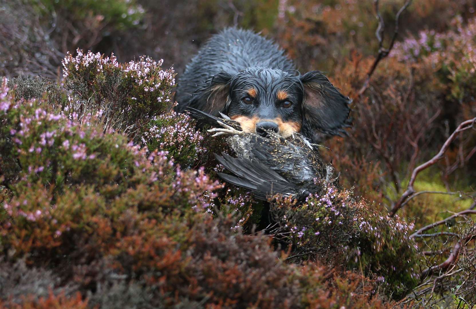 The review was commissioned by the Scottish Government (Jane Barlow/PA)