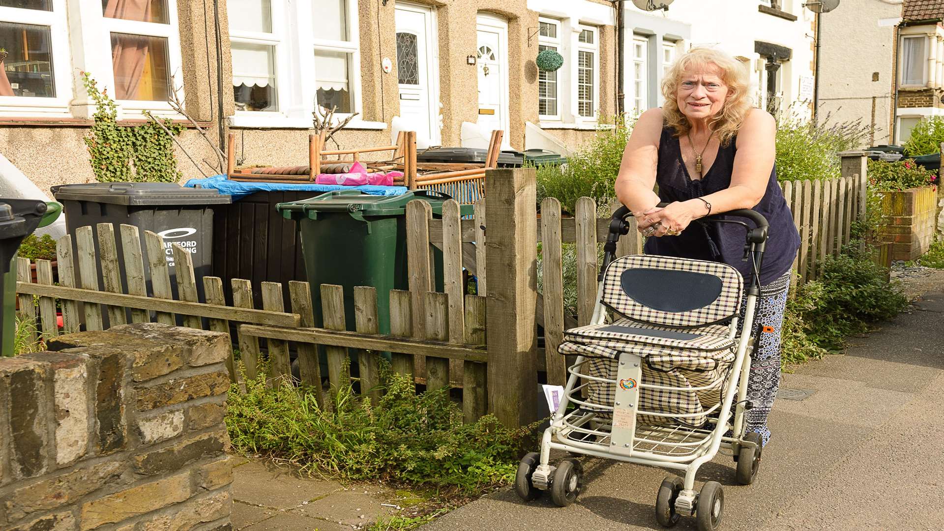 Pauline Sands’ handbag was snatched from this trolley while she was shopping in Iceland