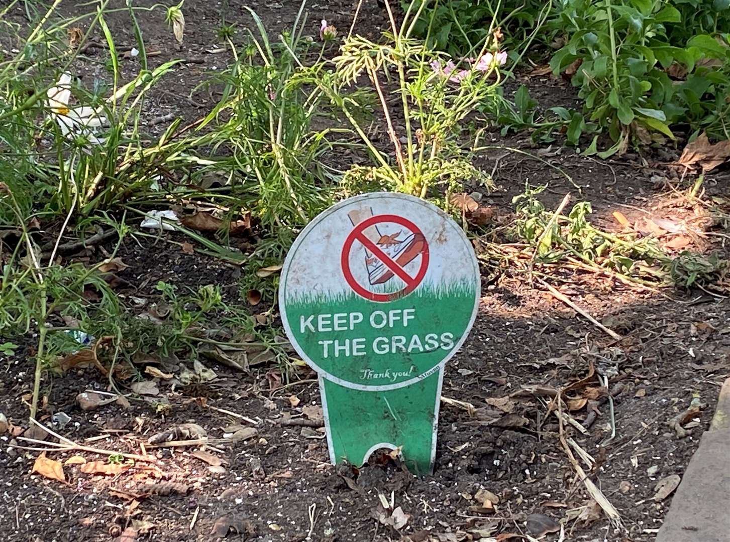 KentOnline understands residents of nearby houses have put in place signs to try to keep visitors to Westgate Gardens off the grass