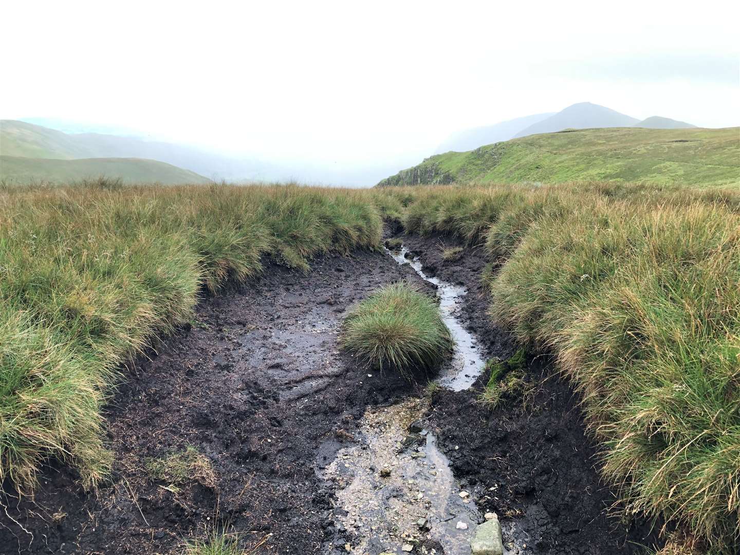 All degraded upland peatland must be restored by 2050, the committee says (Emily Beament/PA)