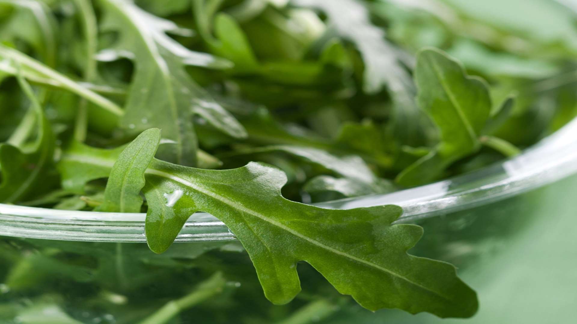 Southern Salads packed various types of leaf produce for supermarkets