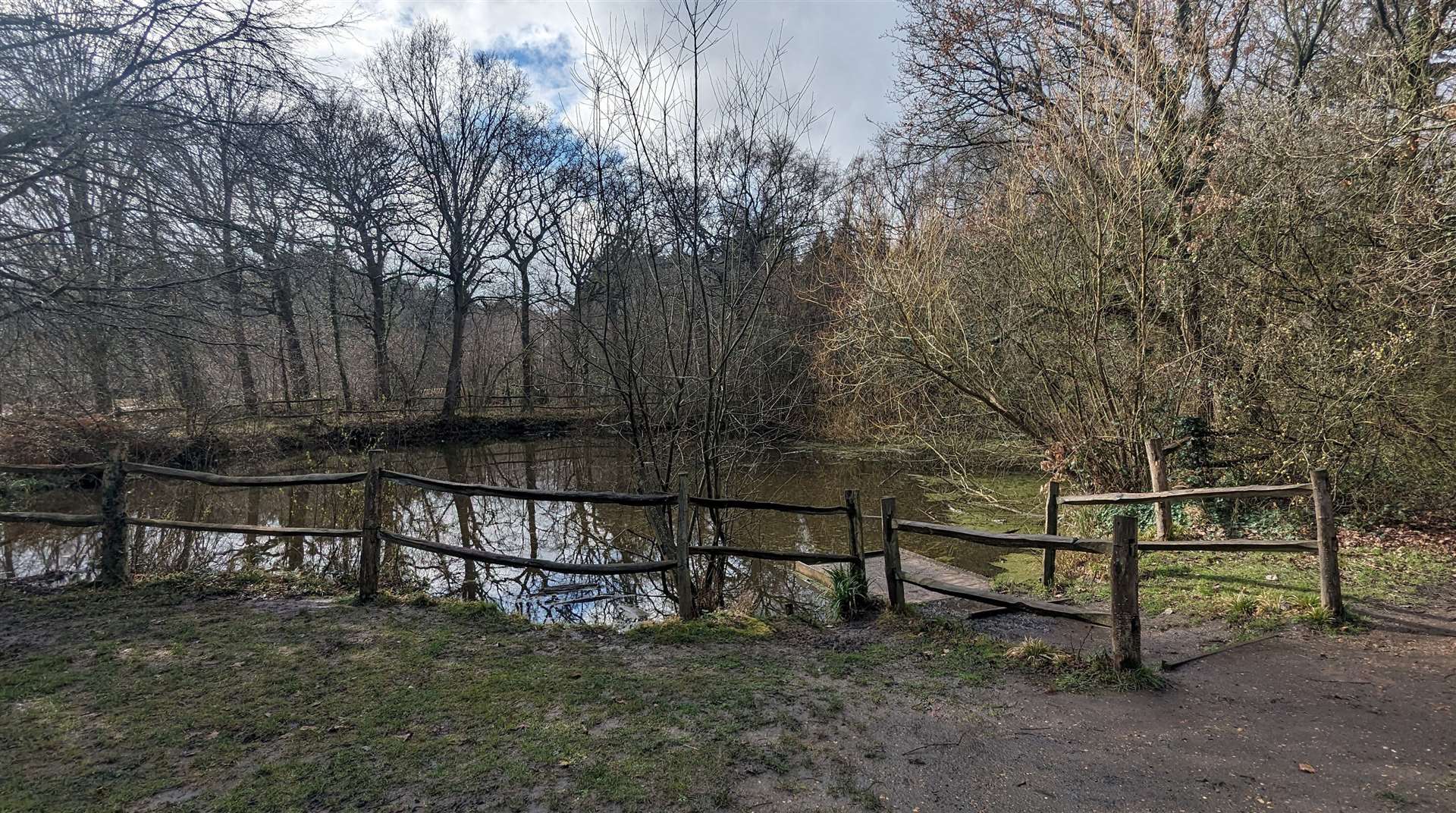 The Winding Pond in Clowes Wood