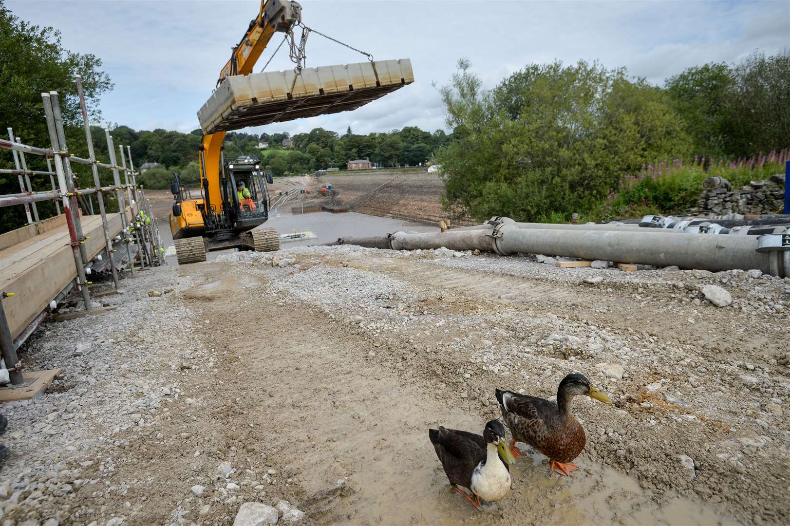 Ducks make their way through the site by the drained reservoir last year (Jacob King/PA)