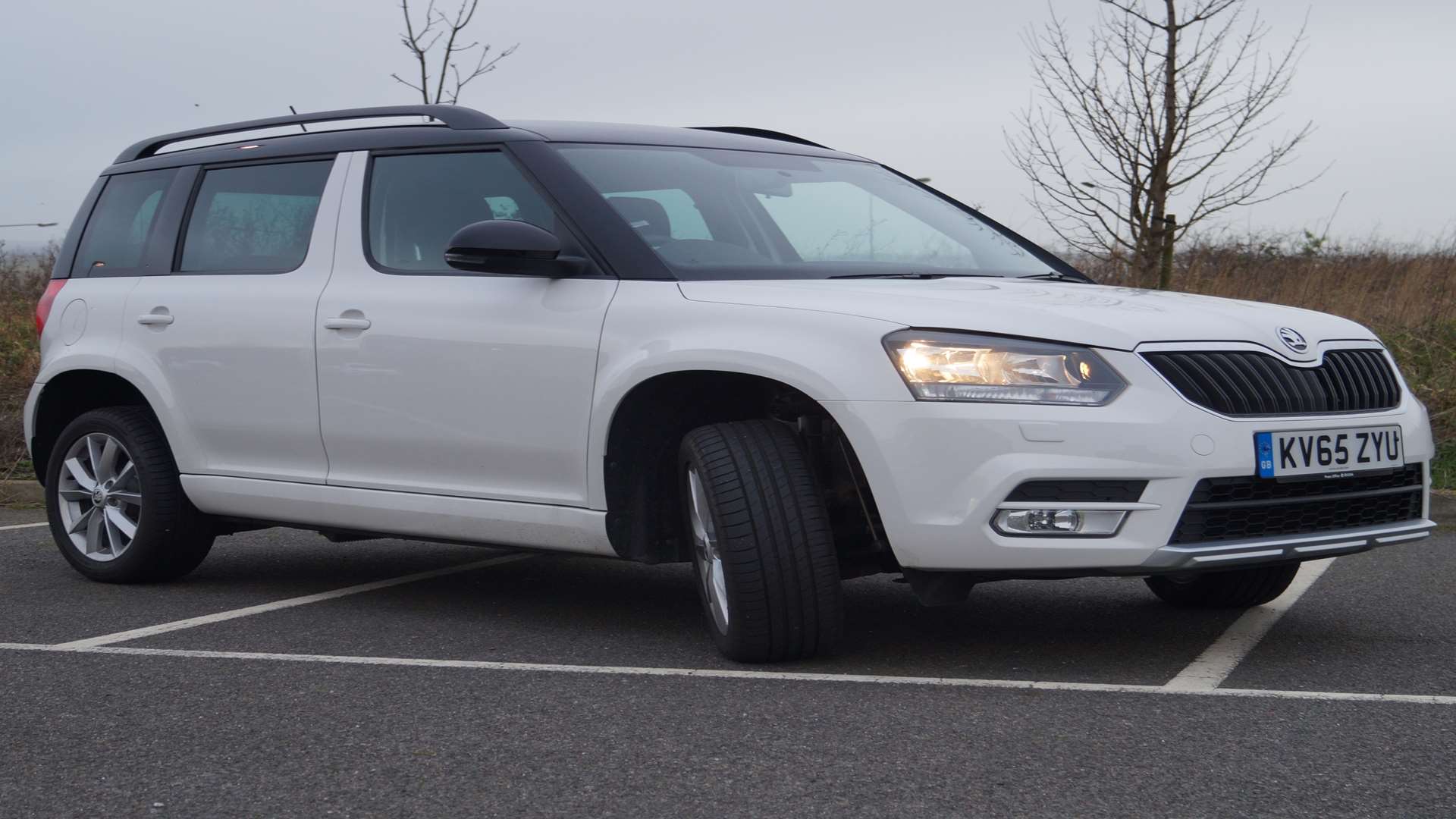 Skoda yeti 2