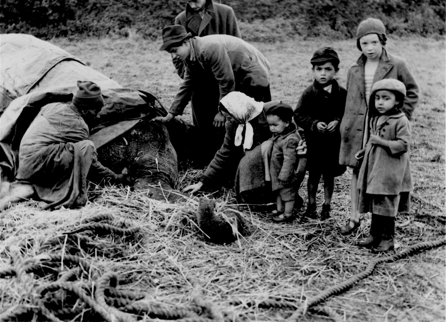 Salt, a 65-year-old Ceylon elephant (with trainer Prince Abdul Karim, his wife and two sons) was rescued from Vauxhall Lakes, Canterbury, in October 1972 after seven-hour ordeal. Salt had wandered off from her grazing ground at Sturry Road when Ringland's Circus came to town. Tragically, she never recovered and died a week later